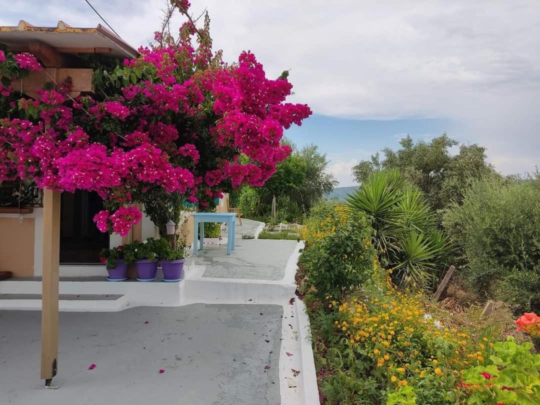Villa Thea Kato Samikon Exterior foto